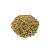 GRANEL - LENTILHA CANADENSE ( 100 g ) - Imagem 1