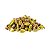 GRANEL - PISTACHE SEM CASCA SEM SAL ( 100 g ) - Imagem 1