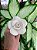 Flor de Ceramica - Reserva Brasil - Imagem 1