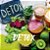 Detox - Imagem 1