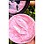 Hidratante Esfoliante de Melancia 180g -  Soul Cosméticos - Imagem 3