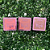 Blush Love My-Pink 21 - Imagem 2