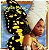 ERYKAH BADU - LIVE - CD - Imagem 1