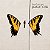 PARAMORE - BRAND NEW EYES - CD - Imagem 1