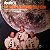 APOLLO 11 - WE HAVE LANDED ON THE MOON- LP - Imagem 1
