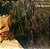 ELBA RAMALHO - CAPIM DO VALE- LP - Imagem 1