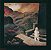 OINGO BOINGO - DARK AT THE END OF THE TUNNEL- LP - Imagem 1