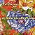 GRUPO DE CARIMBO - OS CANARINHOS DE PIRABAS - CD - Imagem 1