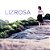 LIZ ROSA - CD - Imagem 1