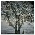 THIAGO RAMIL - LEVE EMBORA - CD - Imagem 1