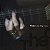 THEO DE BARROS - CD - Imagem 1