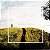 WEBER LOPES - MAPA CD - Imagem 1