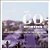 GO-BETWEENS - BELLAVISTA TERRACE: THE BEST OF THE GO-BETWEENS - CD - Imagem 1