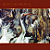 BUFO BOREALIS - NATUREZA - CD - Imagem 1