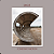 DINOÁ - CONSTANT MOTION - CD - Imagem 1