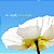 AIR SUPPLY - LOVE SONGS - Imagem 1