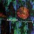 ARCANA - ARC OF THE TESTIMONY - CD - Imagem 1
