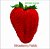 BOB BELDEN PRESENTS - STRAWBERRY FIELDS - CD - Imagem 1