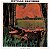 NEVILLE BROTHERS - FIYO ON THE BAYOU - CD - Imagem 1