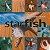 STARFISH - SONGS FROM THE SEASIDE - CD - Imagem 1