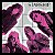 STARSHIP – NO PROTECTION - LP - Imagem 1