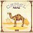 CAMEL - MIRAGE - CD - Imagem 1