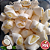 Kg da bala de coco tradicional com recheio de coco fresco docinho de coco beijinho com 150 balas - Imagem 1