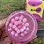 Bubble Vibes Lubrificante Intt 3 em 1 Sabor Chiclete 120g - Imagem 3
