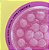 Bubble Vibes Lubrificante Intt 3 em 1 Sabor Chiclete 120g - Imagem 11