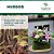 Musgo Verde Plantas Orquídeas Artesanato Arranjo 50lt - Imagem 3
