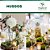 Musgo Verde Plantas Orquídeas Artesanato Arranjo 10lt - Imagem 5