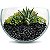 Carvão Vegetal Triturado Natural Plantas ( Biochar ) 20 litros - Imagem 2