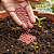 Fertilizante Granulado - Efeito Duradouro Vithal 1kg - Imagem 2