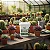 Bokashi Cactos e Suculentas Adubo Orgânico Plantas 1000g Gold Plant - Imagem 3