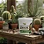 Bokashi Cactos e Suculentas Adubo Orgânico Plantas 1000g Gold Plant - Imagem 4