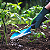 Adubo NPK 04-14-08 Plantas Crescimento Floração 1000g Gold Plant - Imagem 5