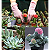 Adubo NPK 04-14-08 Plantas Crescimento e Floração (12Potesx200g) Gold Plant - Imagem 7