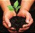 Adubo NPK 04-14-08 Plantas Crescimento Floração (6potesx1000g) Gold Plant - Imagem 4