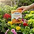 Fertilizante Hidrossolúvel Hidroponia (12x400g) Vithal - Imagem 3