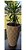 Suporte Para Vaso C/ Rodas 45cm Redondo Pinus - Imagem 5