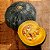 Semente Abóbora Japonesa Cabotia Caixa (25 envelopes) - Imagem 4