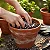 Perlita Expandida 50 litros Grow Cultivo Germinação Plantas Gold Plant - Imagem 6