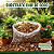 Substrato Chip de Coco para Orquideas e Plantas - Imagem 1