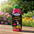 Fertilizante Liquído 250ml Vithal - Variações - Imagem 4