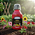 Fertilizante Liquído 100ml Concentrado Vithal - Variações - Imagem 6