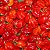 Semente Pimenta Habanero Vermelho - Imagem 2