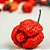Semente Pimenta Trinidad Scorpion Vermelha - Imagem 5