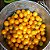 Semente Tomate Cereja Amarelo - Imagem 2
