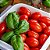 Semente Tomate Cereja Vermelho Feltrin - Imagem 3