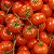 Semente Tomate Salada - Imagem 2